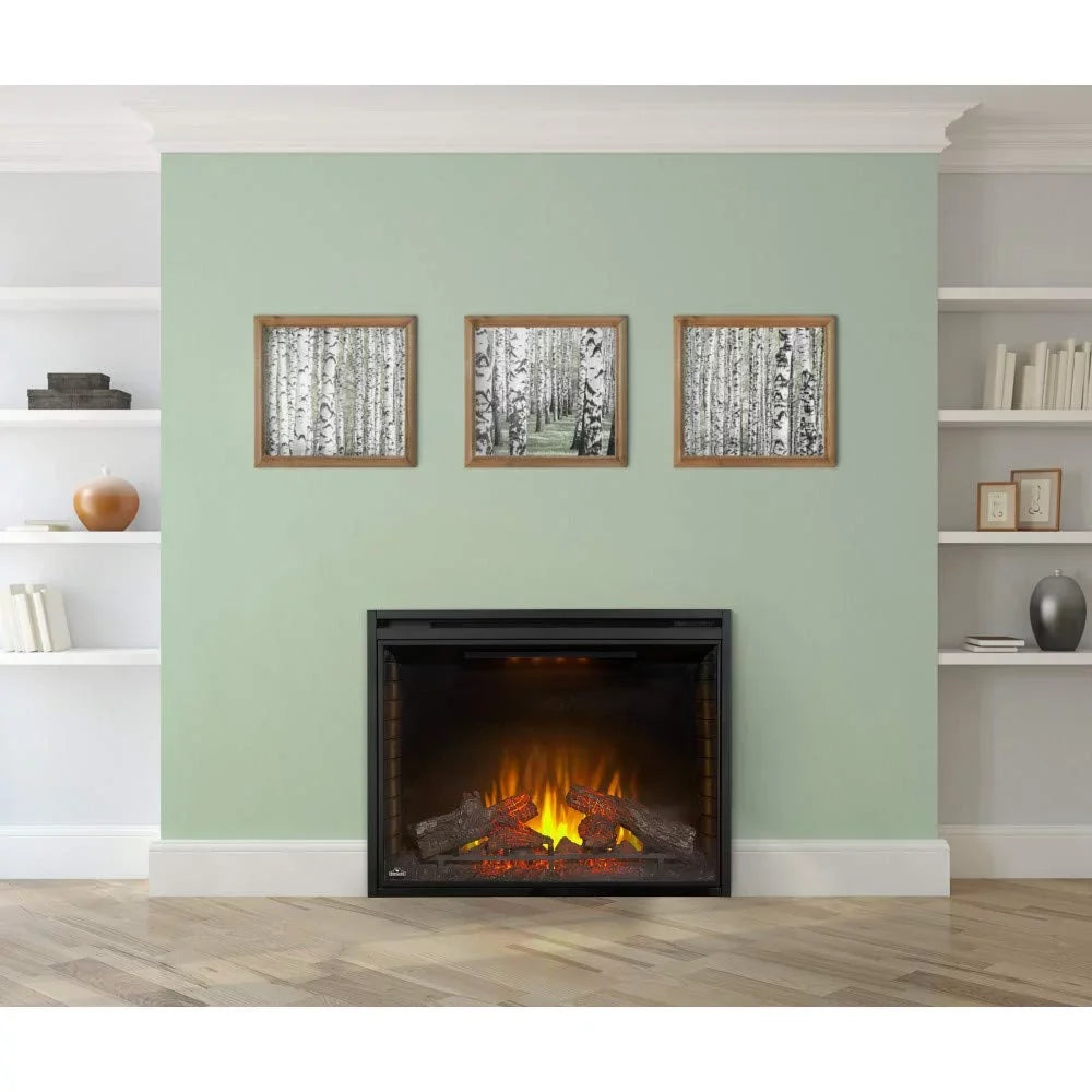 Napoleon 40 in. Built-in Electric Firebox Insert