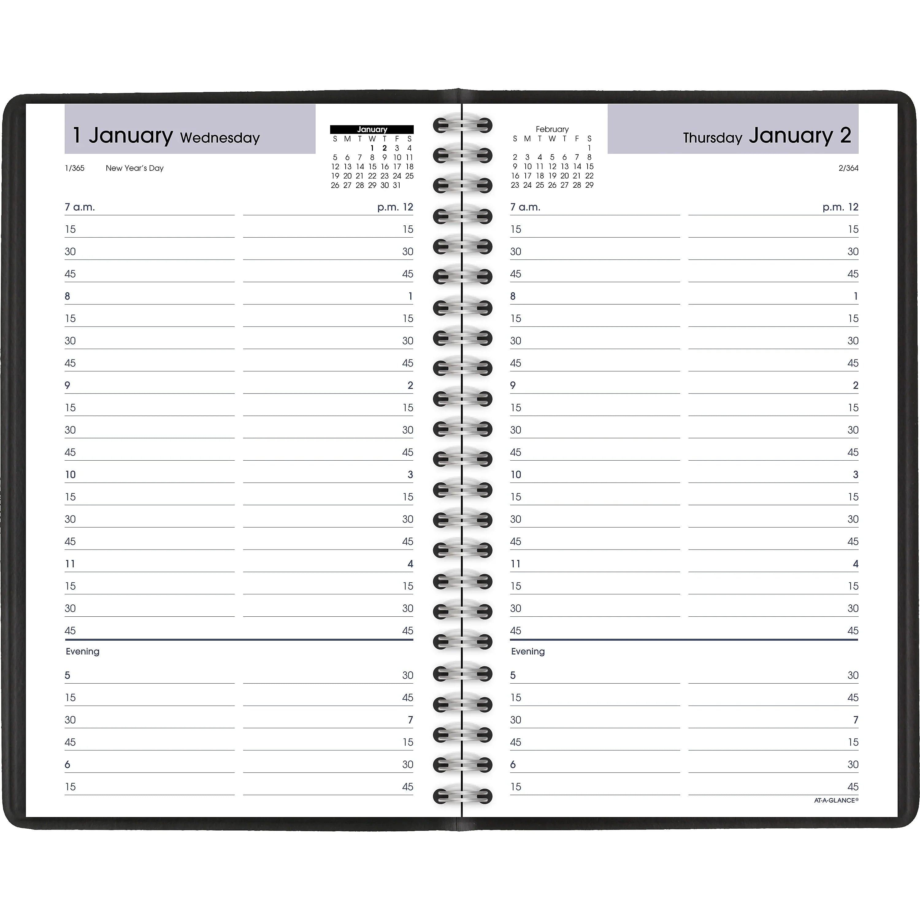 AT-A-GLANCE® DayMinder® Daily Appointment Book/Planner, 5-1/2" x 8-1/2", Ebony January To December 2020, G10000