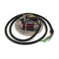 The ROP Shop | Stator for (1989-1996) Kawasaki TS650 Waverunner Jet Ski 21003-3718, Watercraft