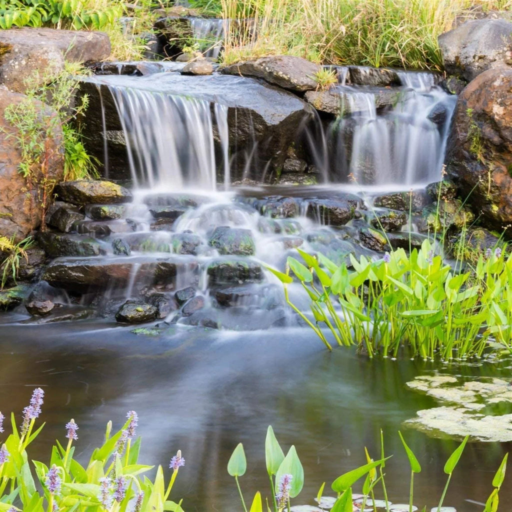 HALF OFF PONDS Piranha Series 4,200 GPH Direct Drive Submersible Pump for Water Gardens, Ponds and Waterfalls - PN-4200