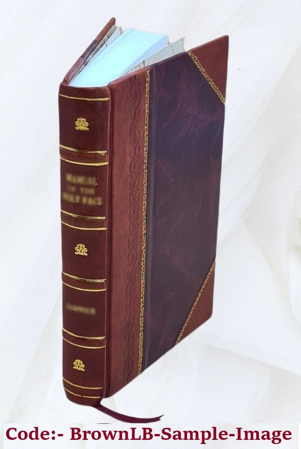 Neos Hellēnomnēmōn. Volume v.19 1925 1925 [Leather Bound]