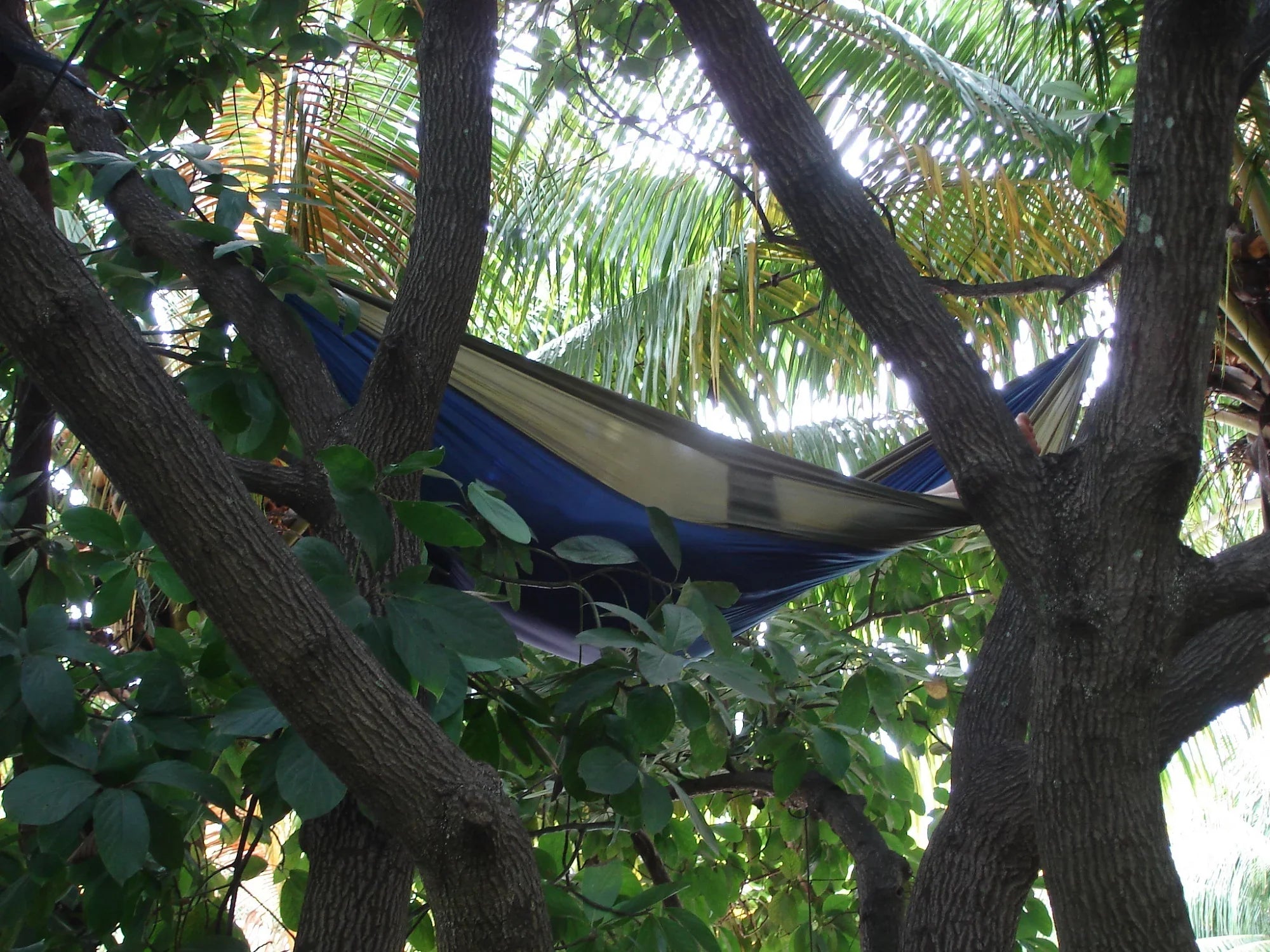 The Hamptons Collection 128" Blue and Dark Green Heavy Duty Mass Traveler’s Nylon Hammock