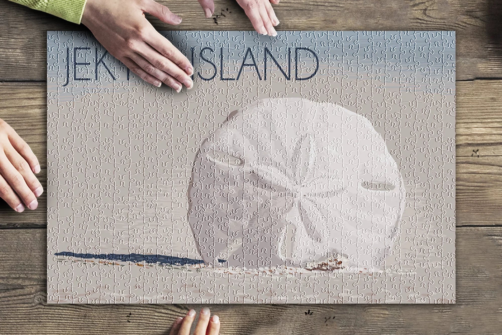 Jekyll Island, Georgia, Sand Dollar (19x27 inches, Premium 500 Piece Jigsaw Puzzle for Adults and Family, Made in USA)