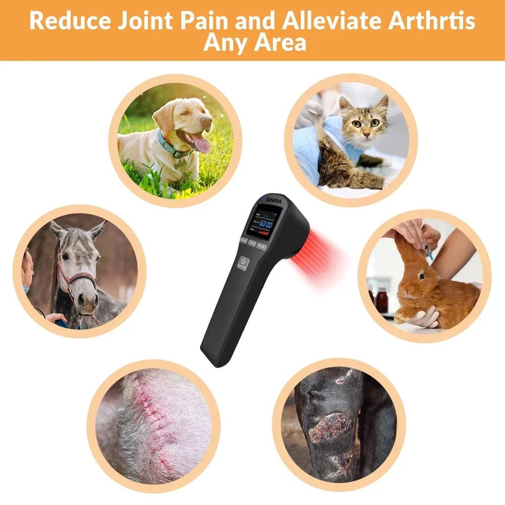 650nm 808nm,Cold Laser Therapy Device,for Dog Cat Horse Pain Relief,Handheld Low Level Laser Therapy