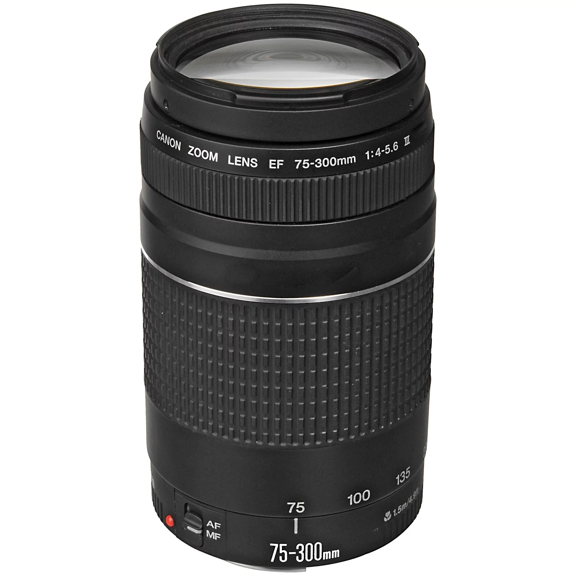 EOS R5 Mirrorless Camera with RF24-105mm + 75-300mm Lens + Mount Adapter + 2 Pack SanDisk 32GB + ZeeTech Accessory