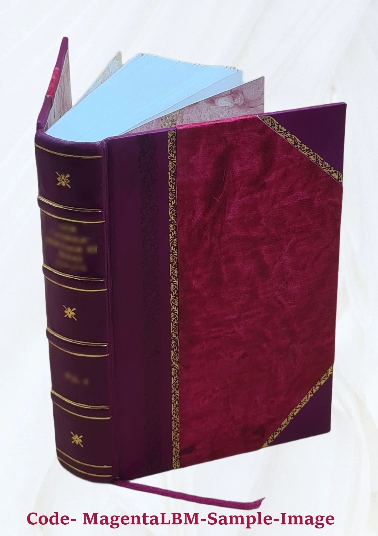 [(Soundex) index to 1900 census, Pennsylvania] Volume PENNSYLVANIA - T1068 - R-300 John-R-300 Solomon** 1900 [Leather Bound]