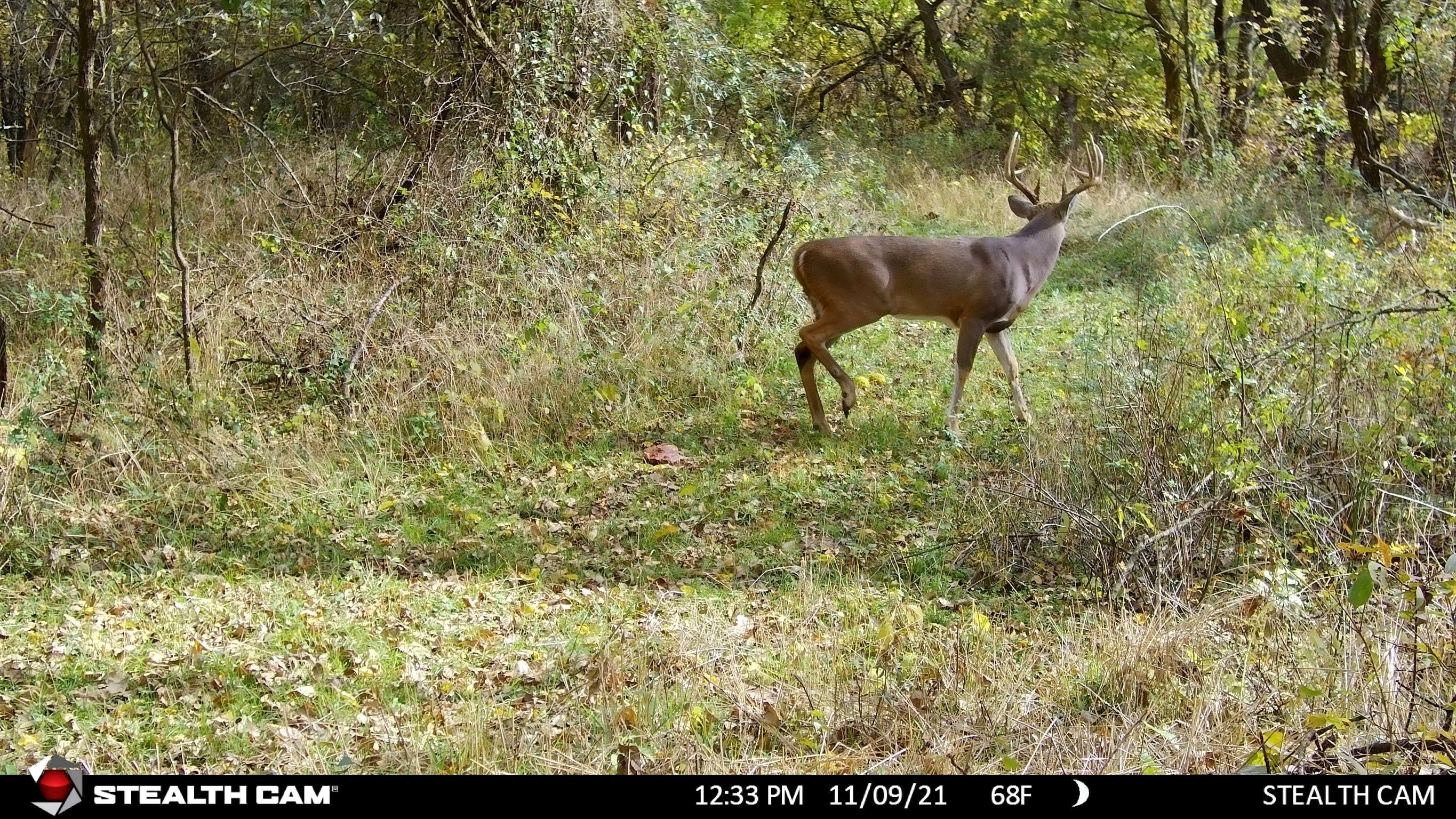 Stealth Cam DS4K Ultimate 32MP 4K Video 30FPS, Hunting Trail Monitor
