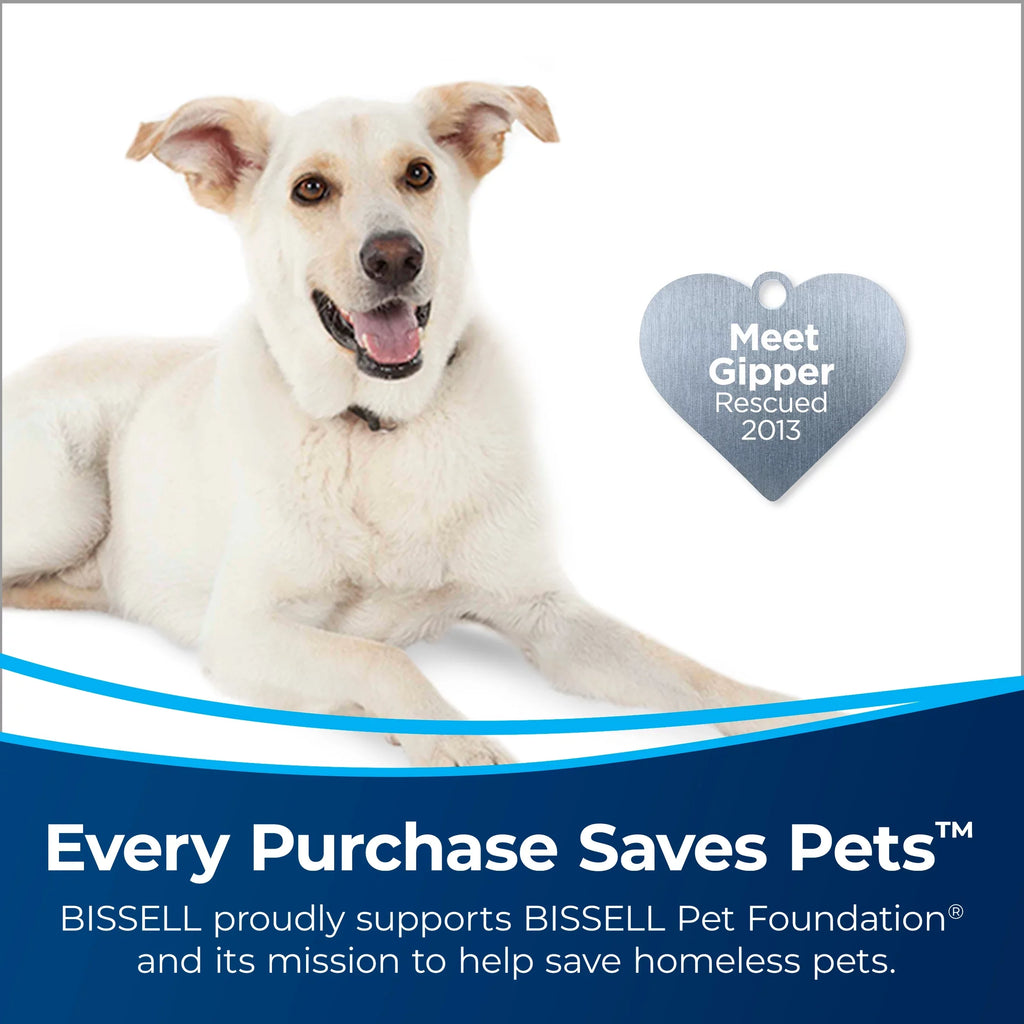 BISSELL Air280 MAX Air Purifier, 3138A