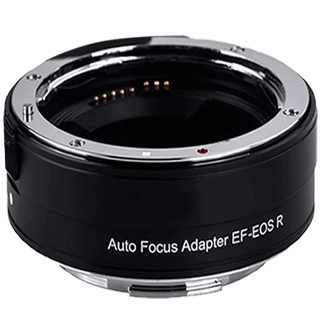 EOS R5 Mirrorless Camera with RF24-105mm + 75-300mm Lens + Mount Adapter + 2 Pack SanDisk 32GB + ZeeTech Accessory