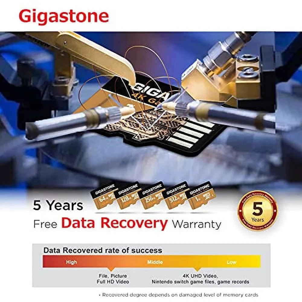Gigastone 4K Game Turbo 256GB Micro SDXC Memory Card, Nintendo Switch Compatible, Dash Cams, Go Pro Cameras, A2 UHS-I U3 C10 Run App R/W 100/60MB/s [5-Yrs Free-Data-Recovery]