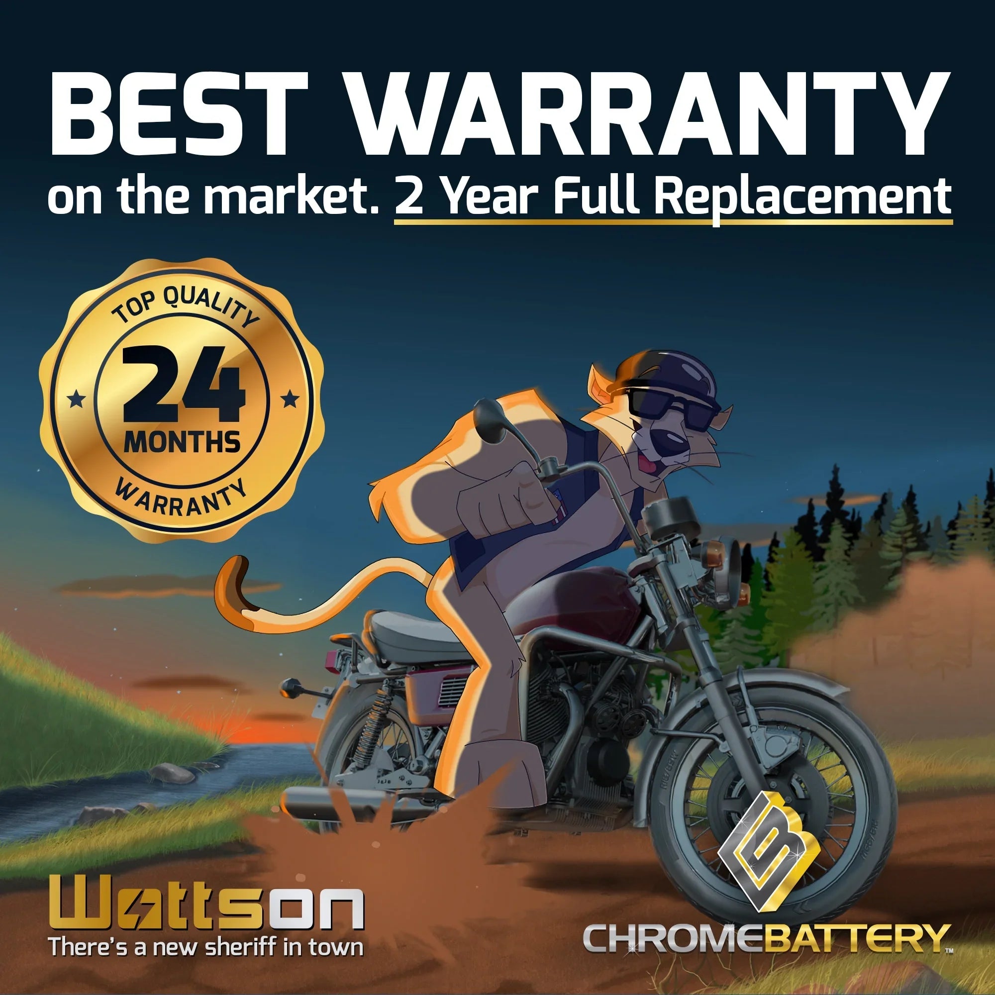 Chrome Pro Battery Ytx20hl-bs (20hl-bs 12 Volts,18 Ah, 310 Cca) Replacement Battery for 2008 Kawasaki 800cc Js800 Sx-r