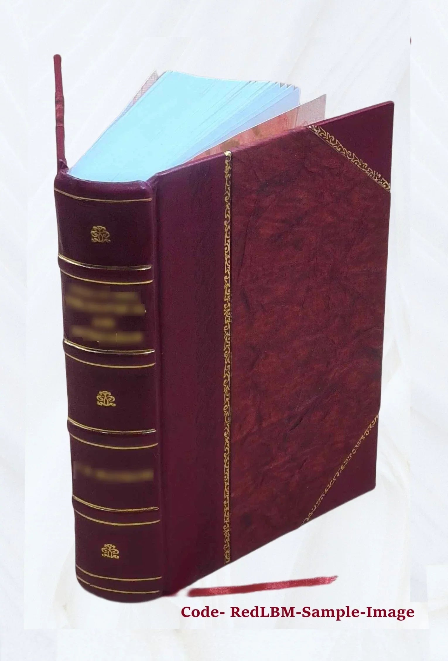 [(Soundex) index to 1900 census, Pennsylvania] Volume PENNSYLVANIA - T1068 - R-300 John-R-300 Solomon** 1900 [Leather Bound]