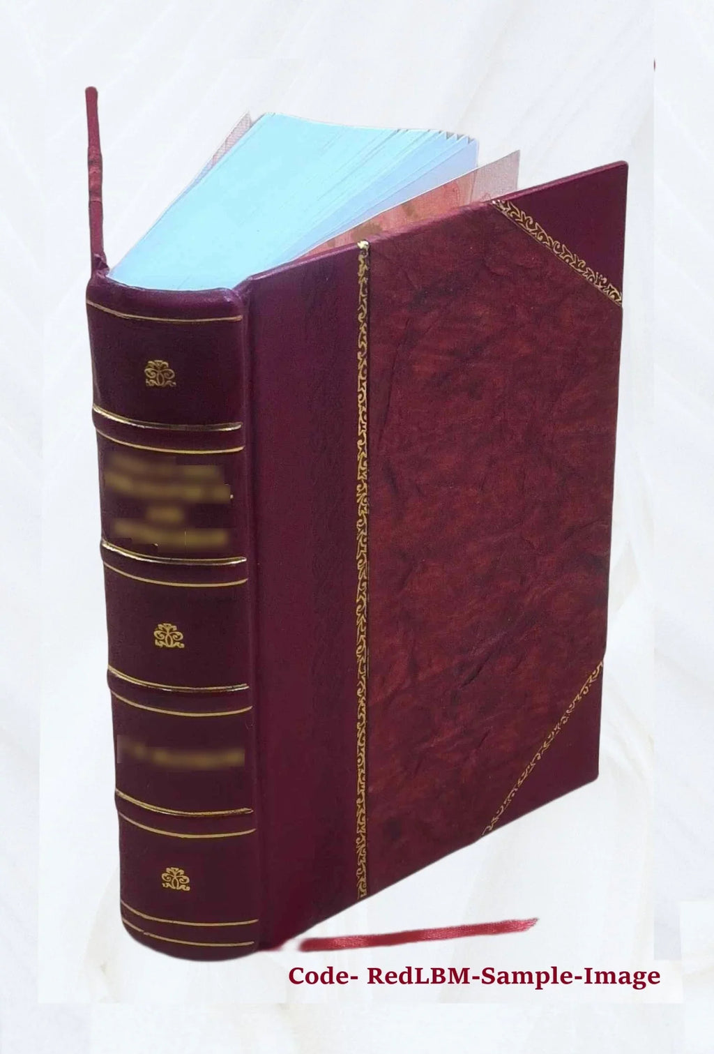 Cinderella : three hundred and forty-five Version of Cinderella, Catskin, and Cap o'Rushes 1893 [Leather Bound]