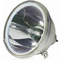RE-44SZ21RD Original Lamp with Housing with 90 Days Replacement Warranty