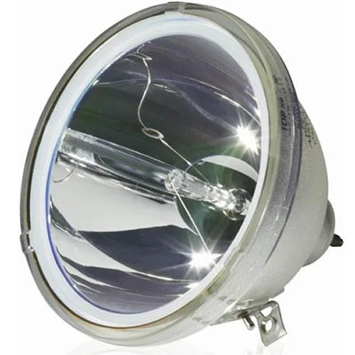 RE-44SZ21RD Original Lamp with Housing with 90 Days Replacement Warranty