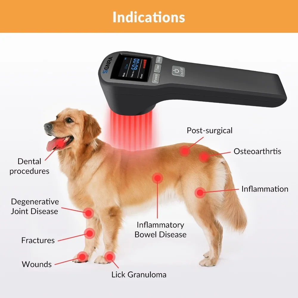 650nm 808nm,Cold Laser Therapy Device,for Dog Cat Horse Pain Relief,Handheld Low Level Laser Therapy